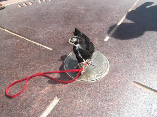 Fifi in four states at once